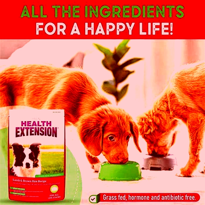 who makes health extension dog food